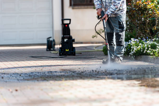Best House Pressure Washing  in Winnsboro, TX